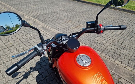 Neufahrzeug QJ Motor SRV12 - Bild 9