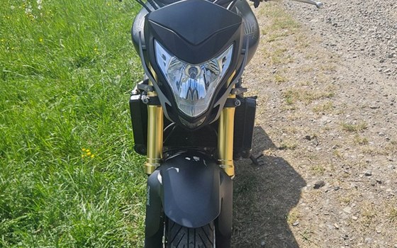 Gebrauchtmotorrad Honda CB 600 F Hornet - Bild 2