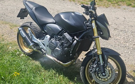 Gebrauchtmotorrad Honda CB 600 F Hornet - Bild 5