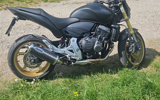 Gebrauchtmotorrad Honda CB 600 F Hornet - Bild 8