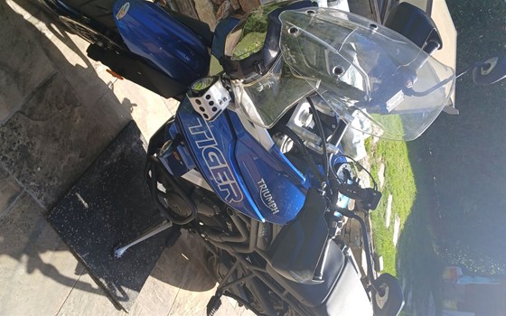 Gebrauchtmotorrad Triumph Tiger 800 XRx - Bild 1