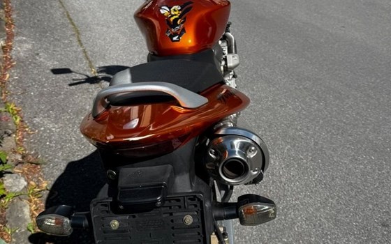 Gebrauchtmotorrad Honda CB 600 F Hornet - Bild 3