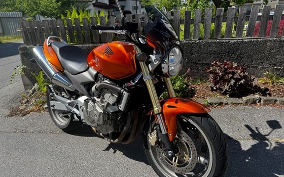 Gebrauchtmotorrad Honda CB 600 F Hornet - Bild 5