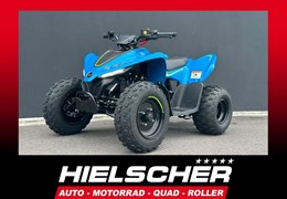 Neumotorrad CFMOTO CForce 110