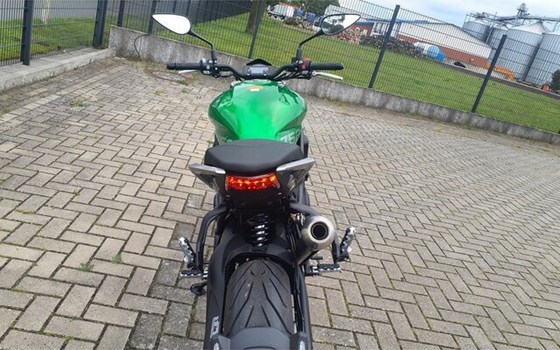 Neufahrzeug Benelli 752 S - Bild 4