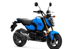 Angebot Honda MSX125 Grom