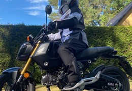 Gebrauchte Honda MSX125 Grom