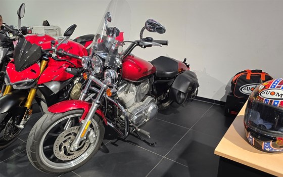 Gebrauchtmotorrad Harley-Davidson Sportster XL 883 L SuperLow - Bild 1