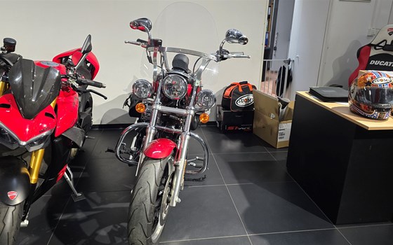 Gebrauchtmotorrad Harley-Davidson Sportster XL 883 L SuperLow - Bild 2