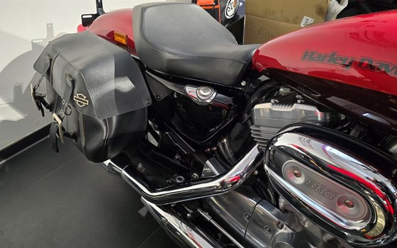Gebrauchtmotorrad Harley-Davidson Sportster XL 883 L SuperLow - Bild 5