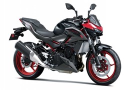 Neumotorrad Kawasaki Z900 SE