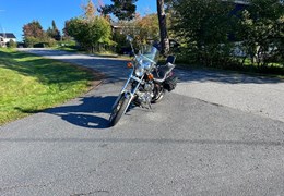 Gebrauchte Yamaha XV 1000