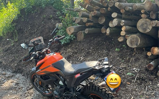 Gebrauchtmotorrad KTM 390 Adventure - Bild 3