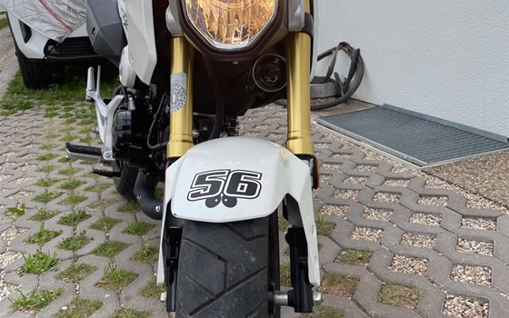 Gebrauchtmotorrad Honda MSX 125 - Bild 1