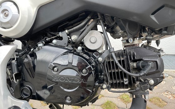 Gebrauchtmotorrad Honda MSX 125 - Bild 10