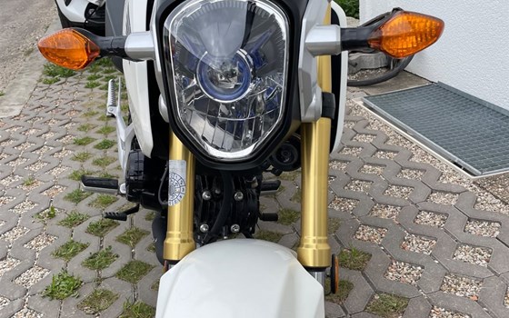 Gebrauchtmotorrad Honda MSX 125 - Bild 11