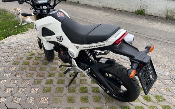 Gebrauchtmotorrad Honda MSX 125 - Bild 4