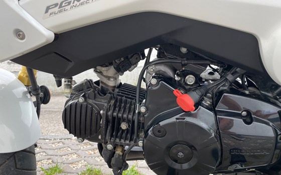 Gebrauchtmotorrad Honda MSX 125 - Bild 7