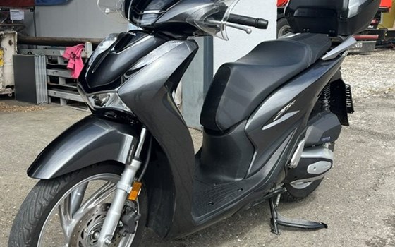Gebrauchtmotorrad Honda SH125 - Bild 2