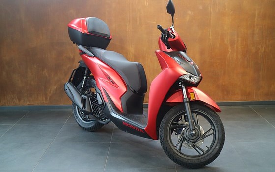 Neufahrzeug Honda SH125i - Bild 1