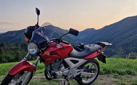 Gebrauchtmotorrad Honda CBF 250 - Bild 1