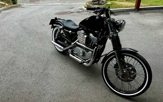 Gebrauchtmotorrad Harley-Davidson Sportster XL 883 - Bild 9