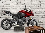Angebot Triumph Tiger Sport 660