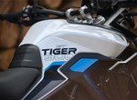 Angebot Triumph Tiger 900 Alpine Edition