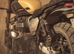 Angebot Triumph Scrambler 900