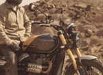 Angebot Triumph Scrambler 900
