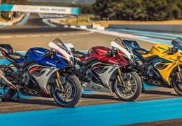 Neumotorrad Suzuki GSX-R1000R