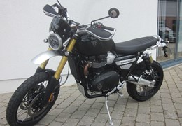 Gebrauchte Triumph Scrambler 1200 XE