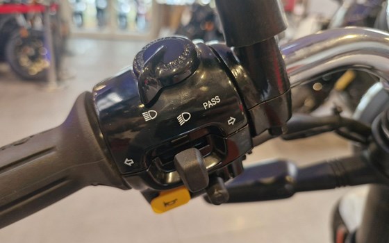 Neufahrzeug Royal Enfield Bear 650 - Bild 10