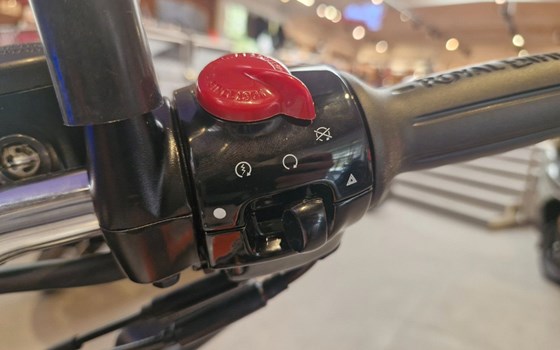 Neufahrzeug Royal Enfield Bear 650 - Bild 9