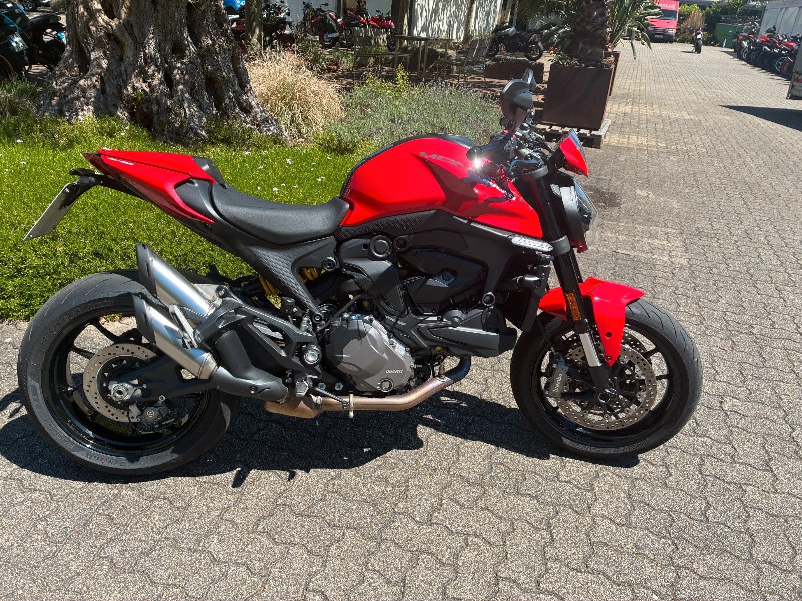 Ducati Monster