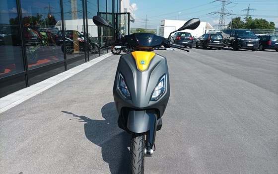 Neufahrzeug Piaggio 1 - Bild 6