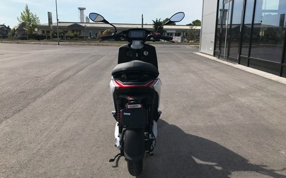 Neufahrzeug Piaggio 1 - Bild 9