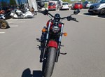 Angebot Indian Chief Bobber Dark Horse