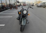 Angebot Indian Springfield Dark Horse