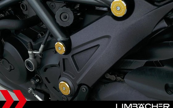 Gebrauchtmotorrad Ducati Diavel Carbon - Bild 18