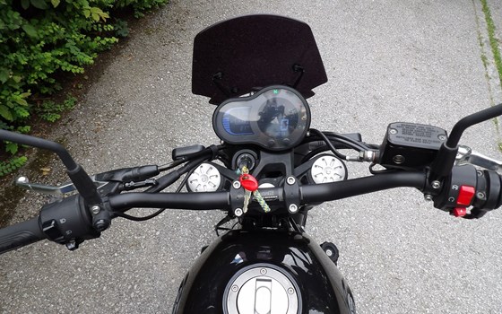 Gebrauchtmotorrad Benelli Leoncino 500 - Bild 2