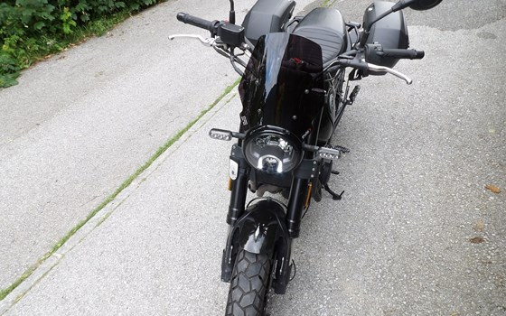 Gebrauchtmotorrad Benelli Leoncino 500 - Bild 4