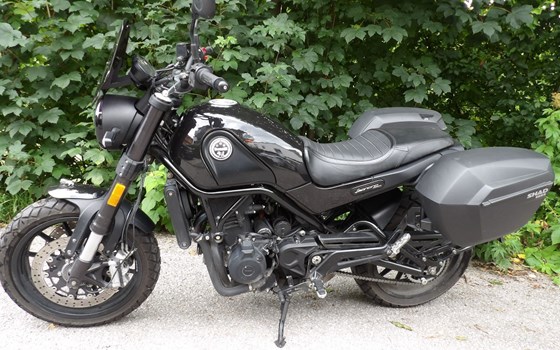 Gebrauchtmotorrad Benelli Leoncino 500 - Bild 6