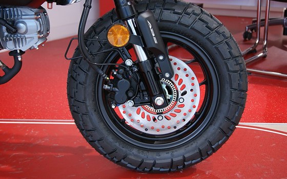 Neufahrzeug Honda Monkey 125 - Bild 6