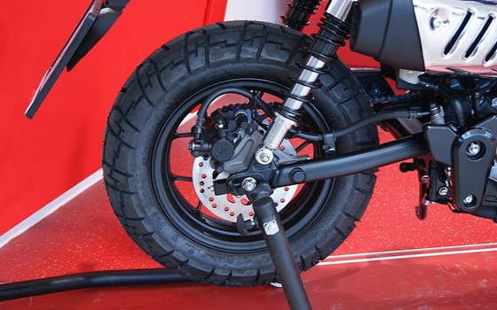 Neufahrzeug Honda Monkey 125 - Bild 7