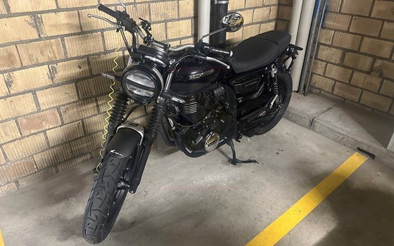 Motorrad Occasion Honda GB350S - Bild 2