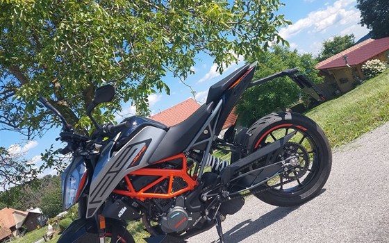 Gebrauchtmotorrad KTM 125 Duke - Bild 2