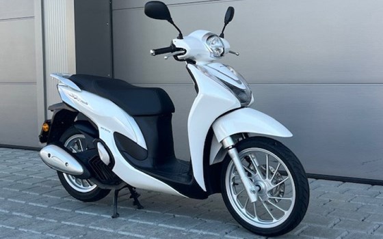 Motorrad Occasion Honda SH125 - Bild 2