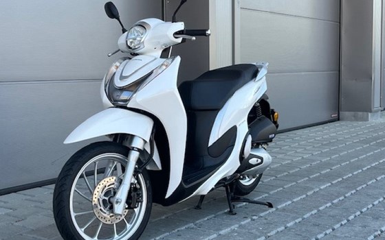 Motorrad Occasion Honda SH125 - Bild 3