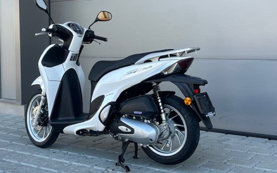 Motorrad Occasion Honda SH125 - Bild 5